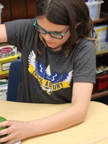 school-spiritwear-design