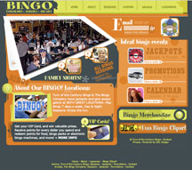 Bingo Colorado Website Design Services